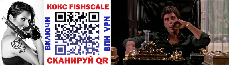 COCAIN Fish Scale  где купить   Балашиха 
