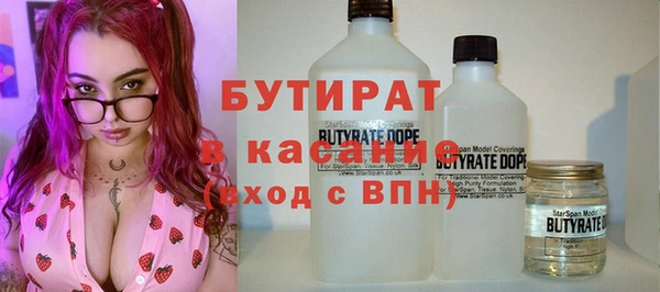 индика Медвежьегорск