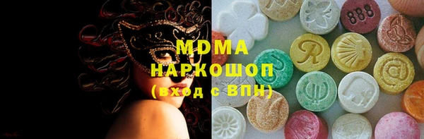 индика Медвежьегорск