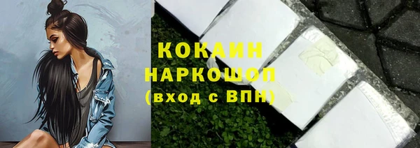 индика Медвежьегорск