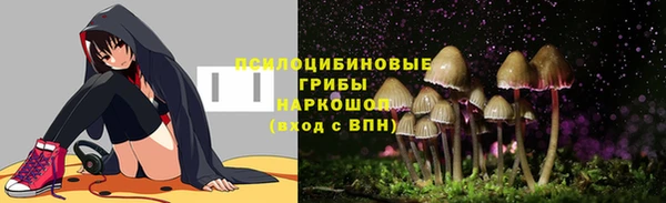 гидра Медногорск