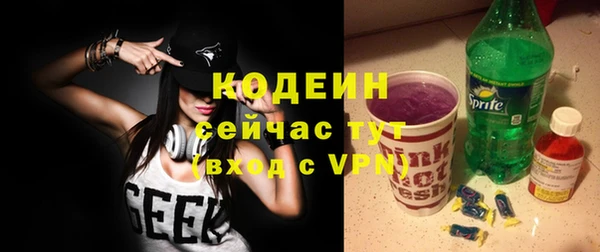 индика Медвежьегорск