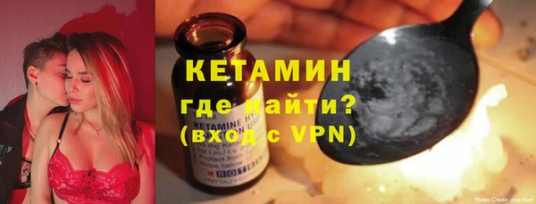 индика Медвежьегорск