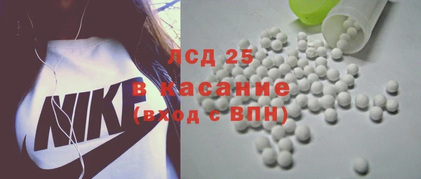 индика Медвежьегорск