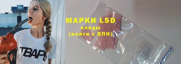 индика Медвежьегорск
