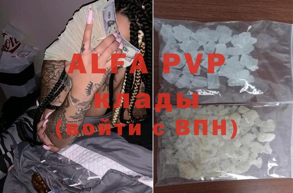 индика Медвежьегорск