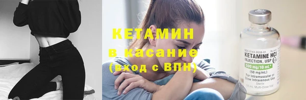 индика Медвежьегорск