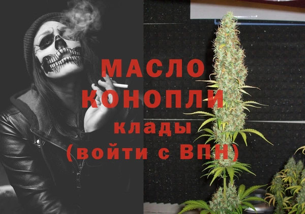 гидра Медногорск