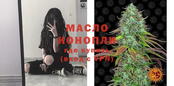 индика Медвежьегорск