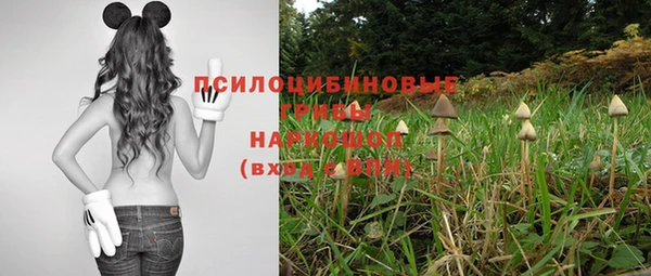 гидра Медногорск