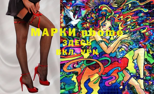 индика Медвежьегорск