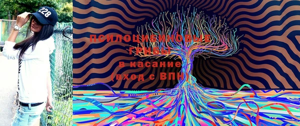 первитин Мегион