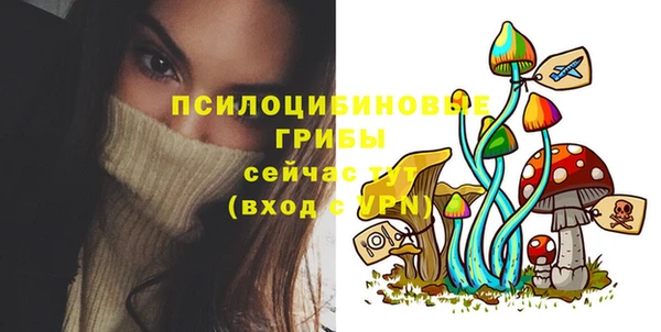 гидра Медногорск