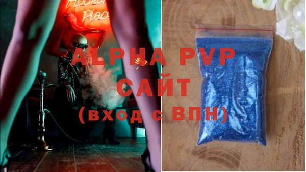 индика Медвежьегорск