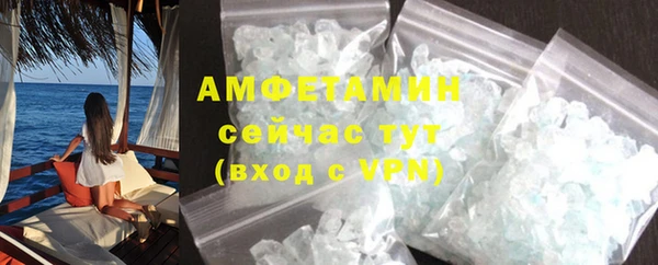 индика Медвежьегорск