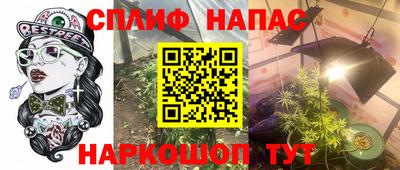 спайс Берёзовский