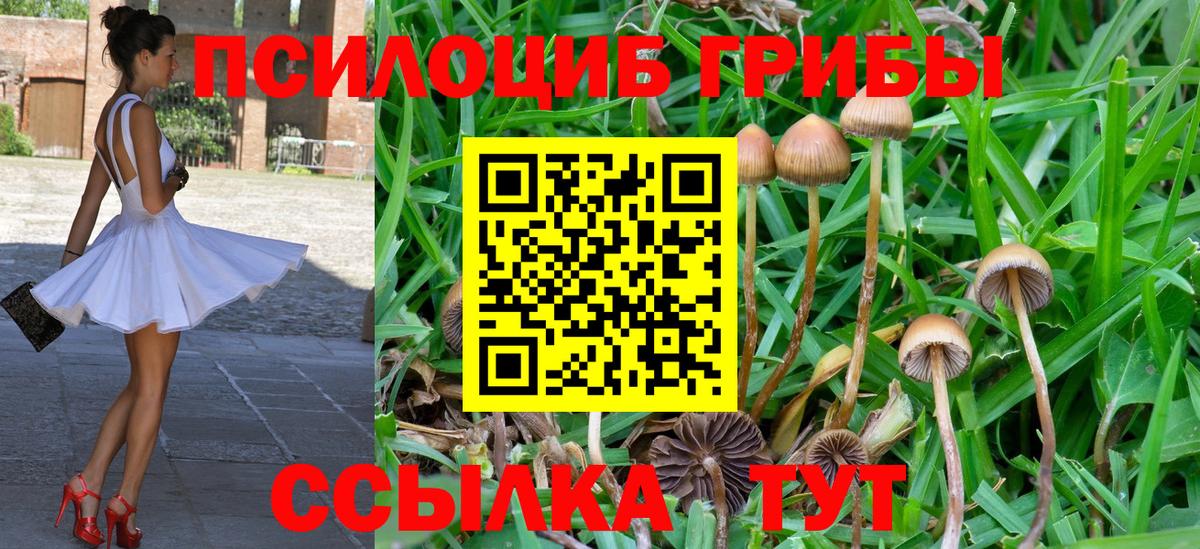 Галлюциногенные грибы Cubensis Балашиха