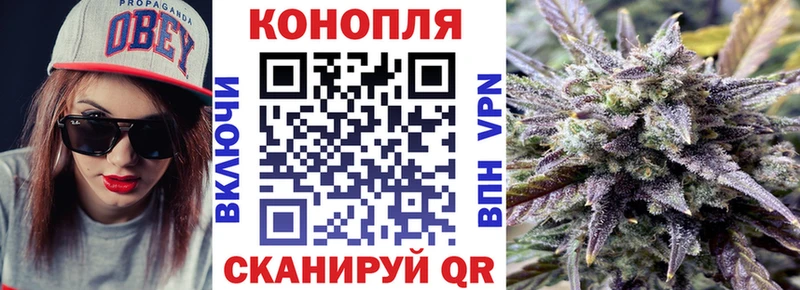 Бошки Шишки Amnesia Балашиха